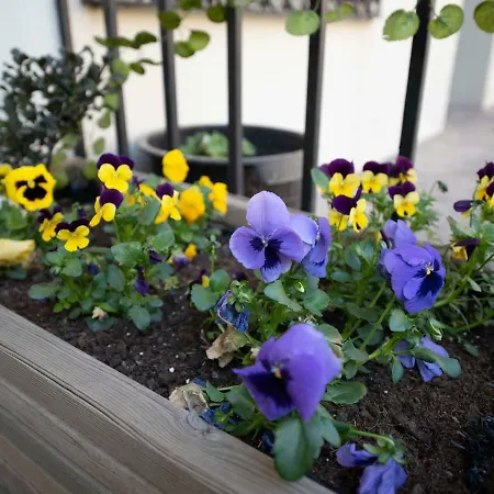 Espacios Blanco Plaza Del Viejo Coso Appartamento *