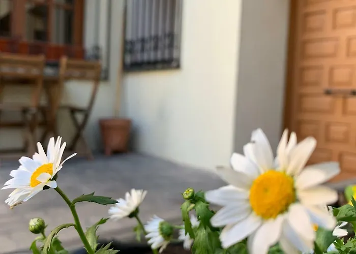 Espacios Blanco Plaza Del Viejo Coso Valladolid