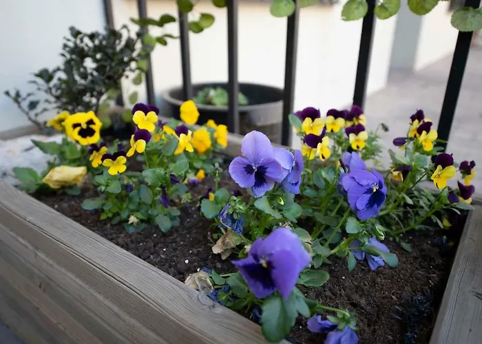 Espacios Blanco Plaza Del Viejo Coso Appartement *